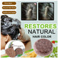 Organic Grey Reverse Shampoo Bar-Natural Organic Conditioner (Pack of 2)