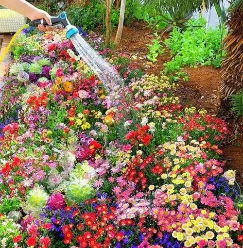 🌱 Varieties of Flower Seeds  - 🔥Last Day Sale 50% OFF 🔥