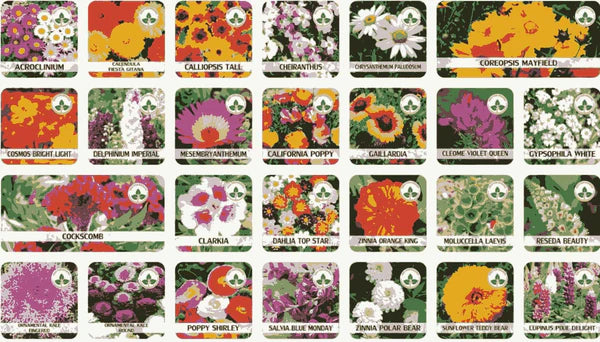 🌱 Varieties of Flower Seeds  - 🔥Last Day Sale 50% OFF 🔥